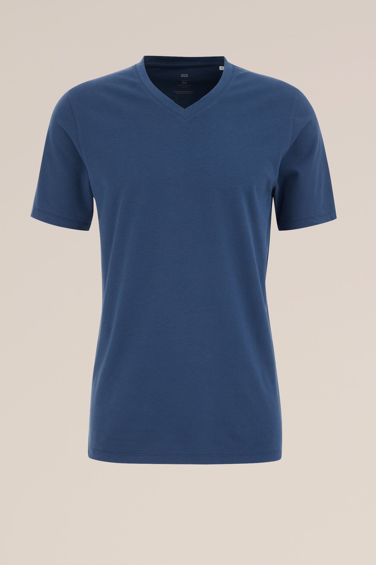 Basic Regular Fit V-Neck T-Shirt - Blue