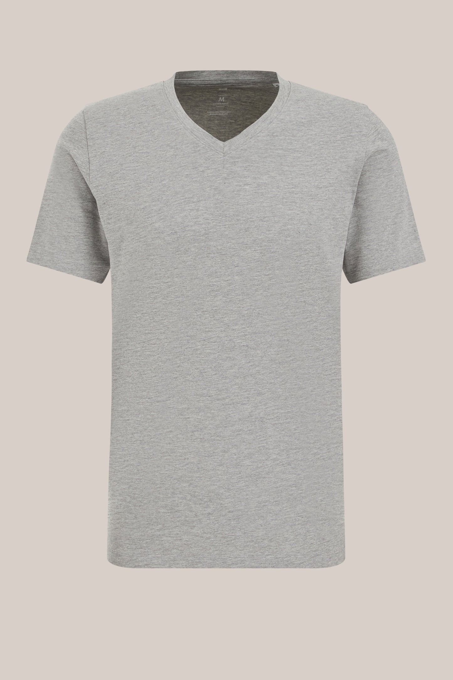 Basic Regular Fit T-Shirt with V-Neck - Grey
