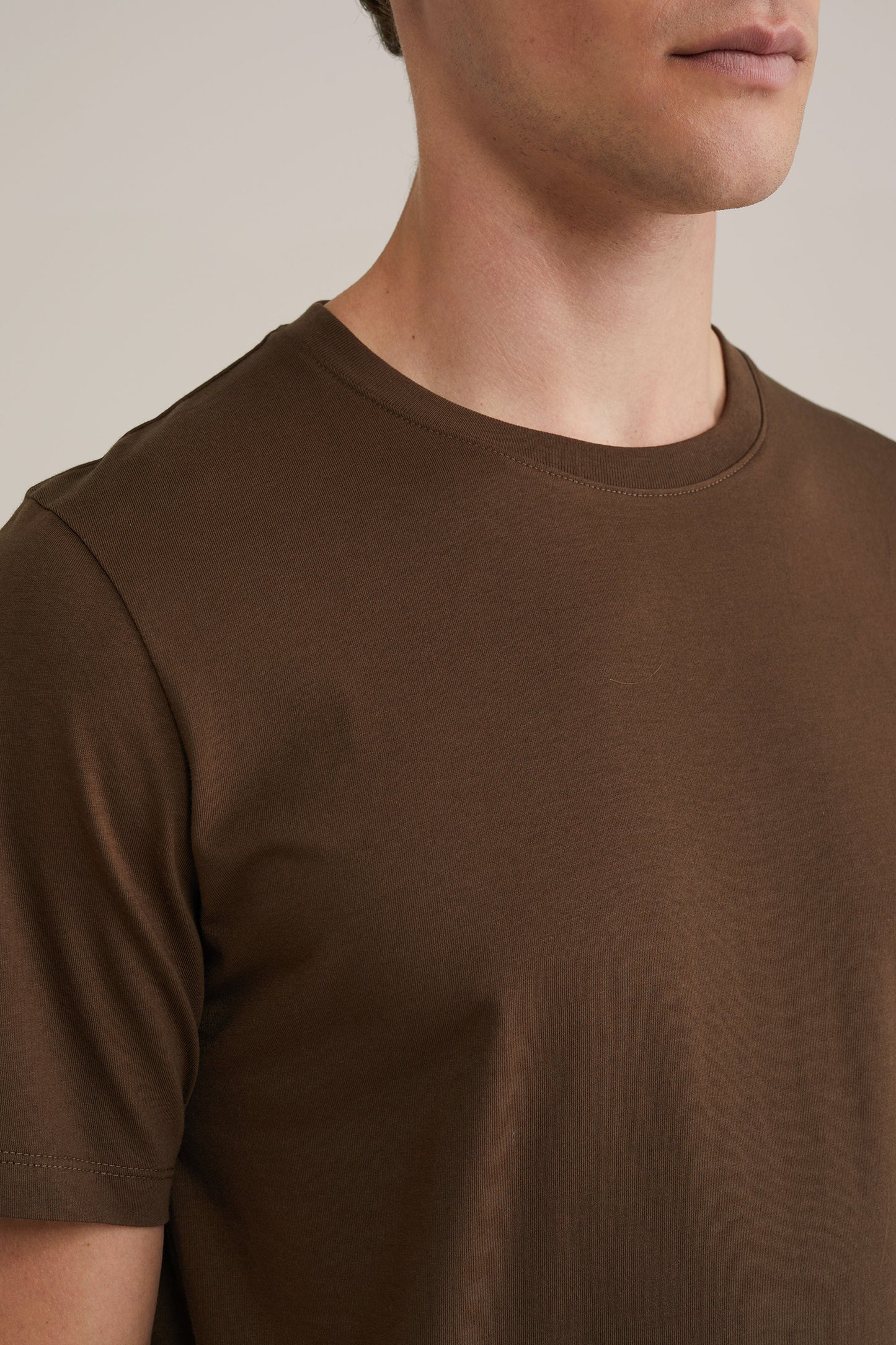 Basic Regular Fit T-shirt - Brown