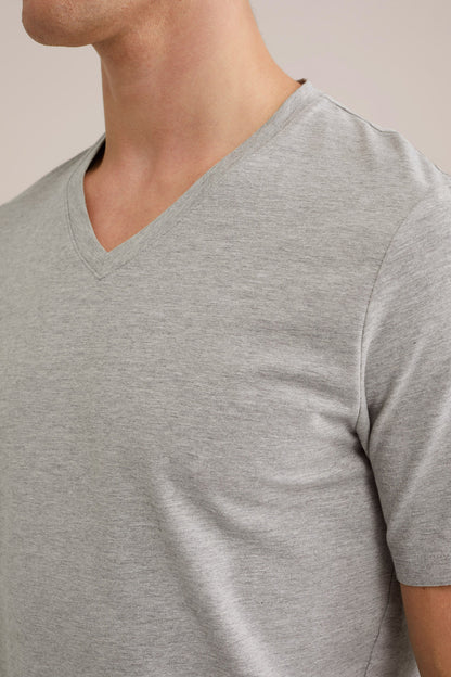 Basic Regular Fit T-Shirt with V-Neck - Grey